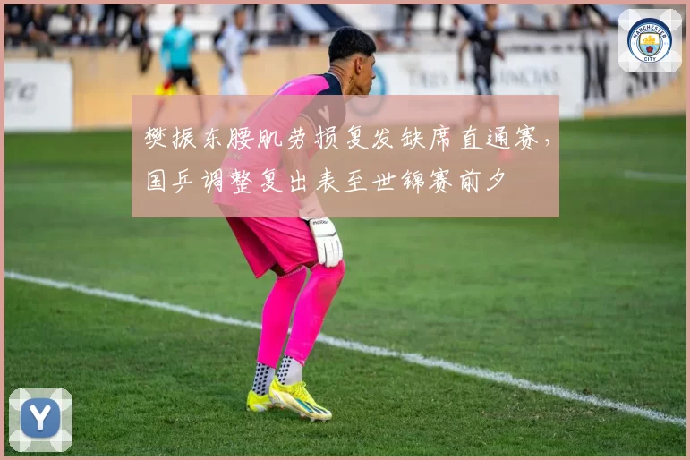 樊振东腰肌劳损复发缺席直通赛，国乒调整复出表至世锦赛前夕
