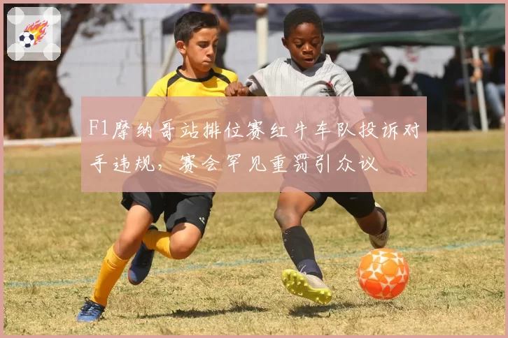 F1摩纳哥站排位赛红牛车队投诉对手违规，赛会罕见重罚引众议