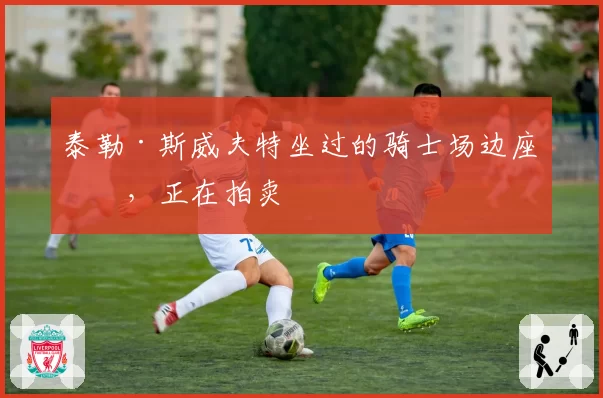 泰勒·斯威夫特坐过的骑士场边座位,正在拍卖