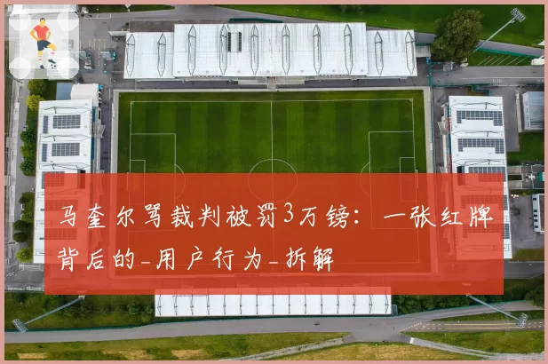 马奎尔骂裁判被罚3万镑：一张红牌背后的_用户行为_拆解