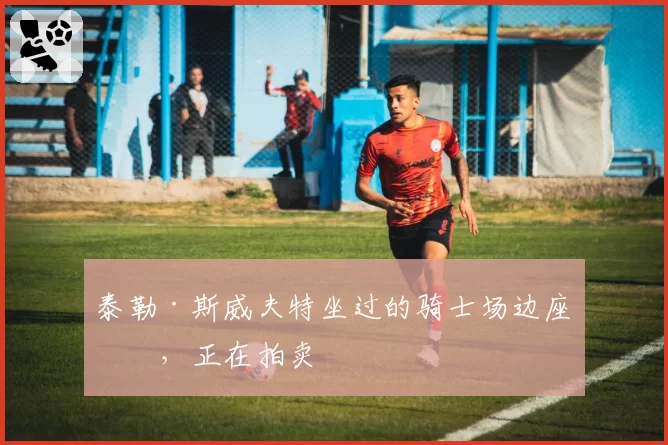 泰勒·斯威夫特坐过的骑士场边座位,正在拍卖